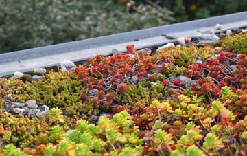 the cost of Treknow green roof installation