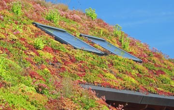 Treknow living roof systems